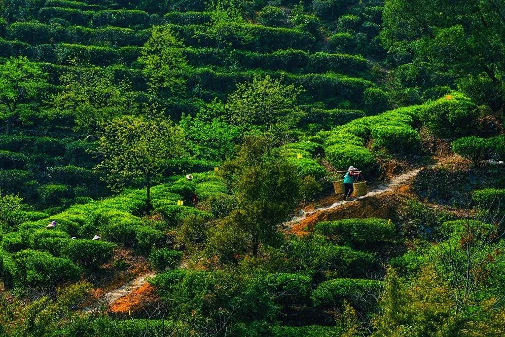 圖片關鍵詞 圖片關鍵詞